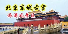 大鸡吧用力插干顶嗯黄色视频免费观看中国北京-东城古宫旅游风景区